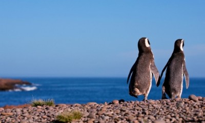 PUERTO MADRYN