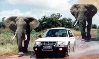Sudáfrica: safari y playas desde Buenos Aires - cupos confirmados