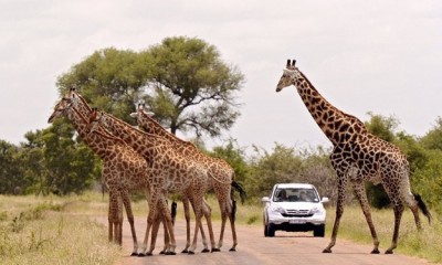 Sudáfrica y Mauritius – en Promoción