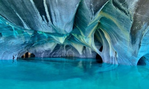 Patagonia Austral y Bosques Andinos -DICIEMBRE 2023-