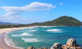 Ferrugem en aereo - preventa 2026