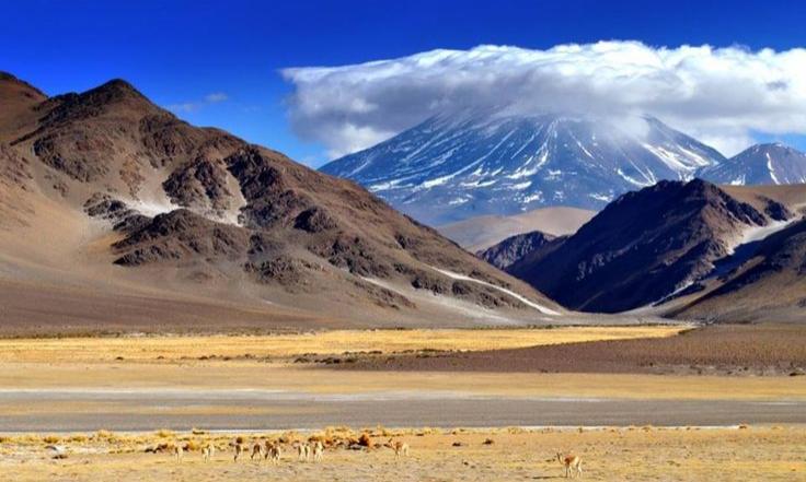 CATAMARCA MAGICA 2026 - cal